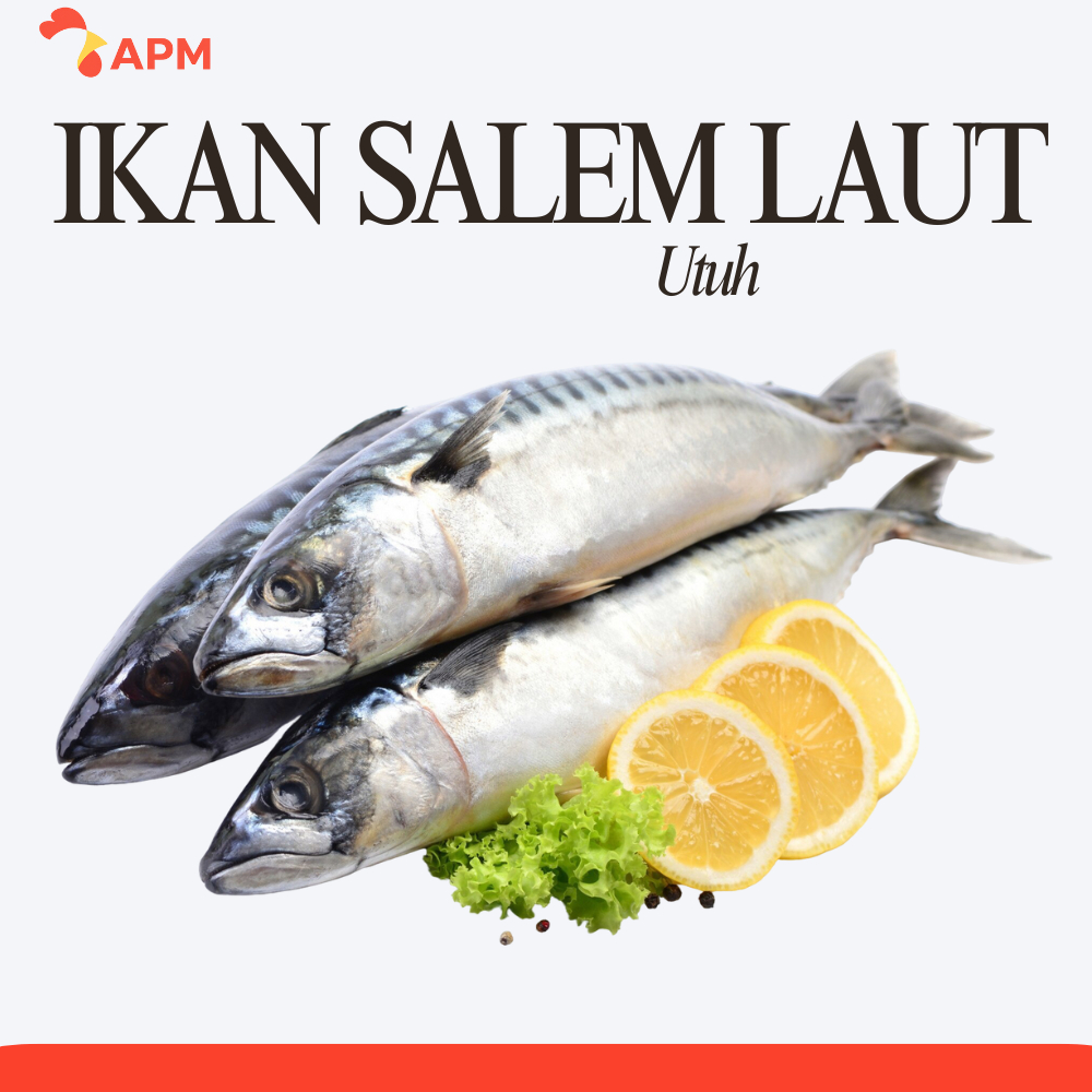 

Ikan Salem Laut Utuh