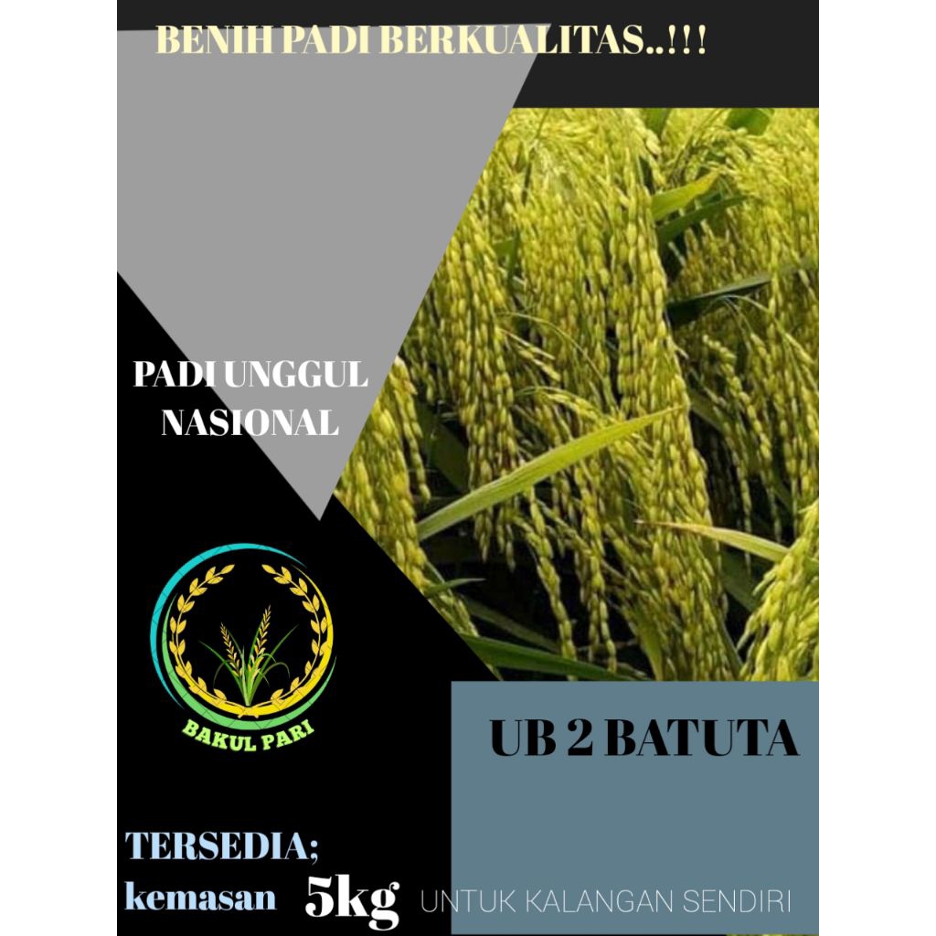 benih padi ub2 batuta kemasan 5kg