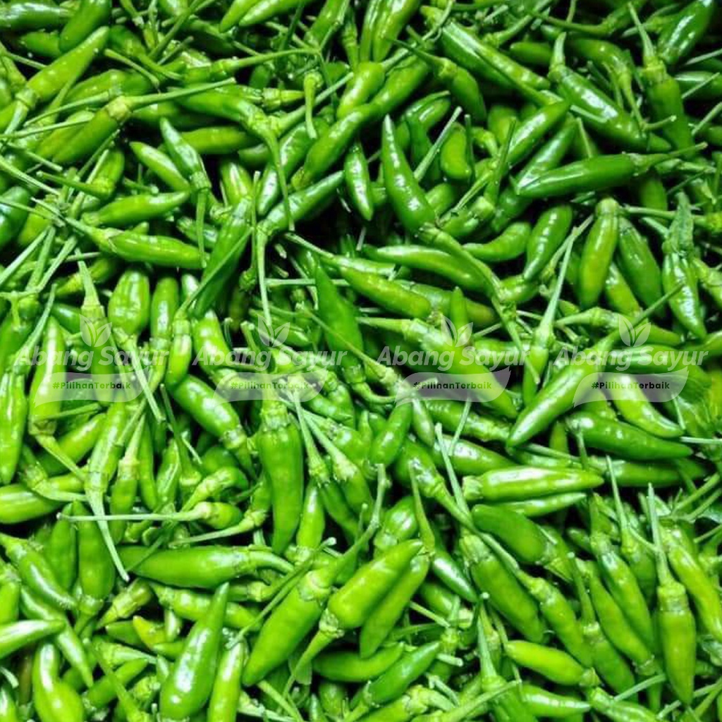 

Cabai rawit hijau (cengek) 250gr – Kirim Instant Bandung Sayur Segar (Fresh Harian)