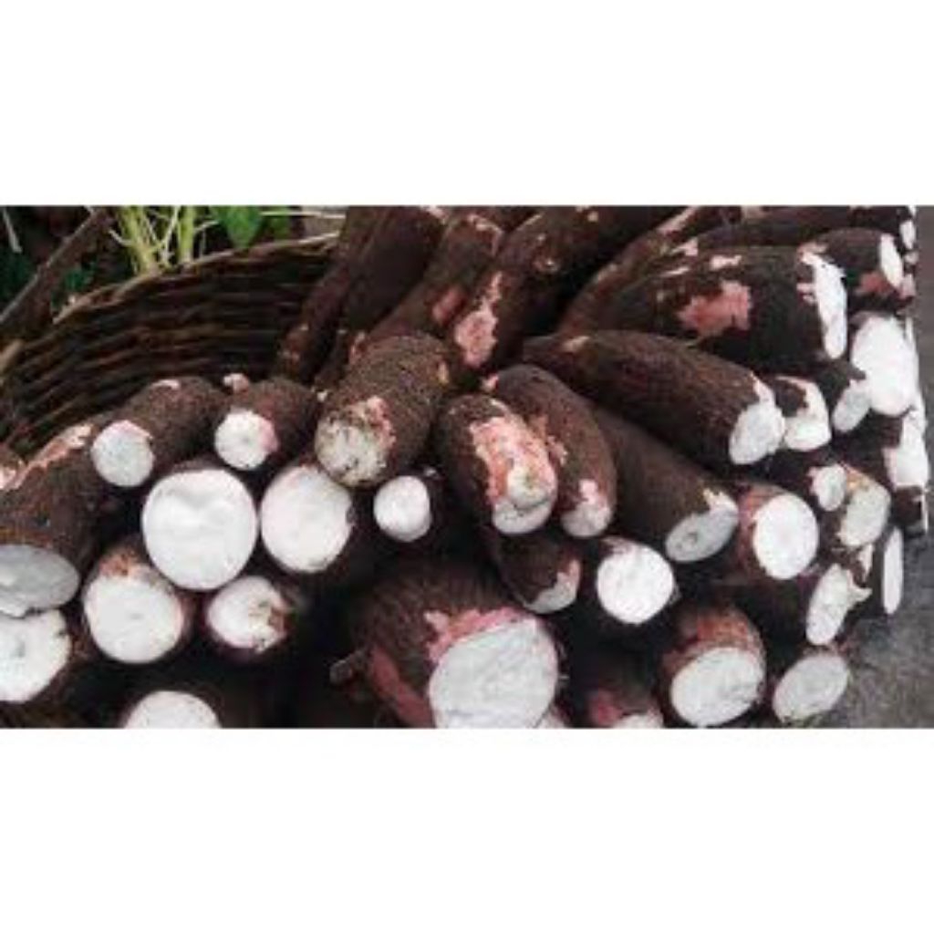 

singkong kulit merah 1kg