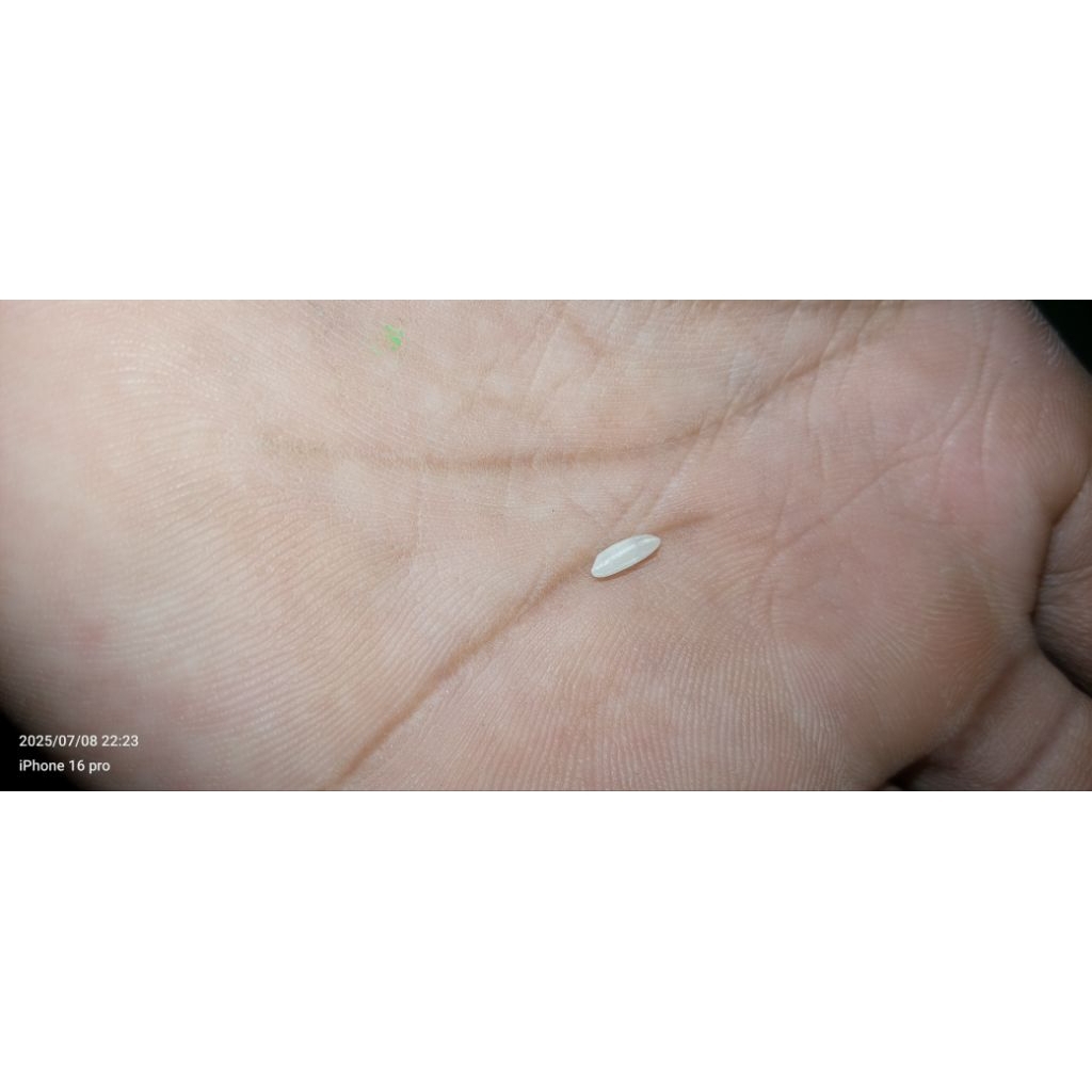 

1 butir nasii kahas Amerika lezat dan bergizi