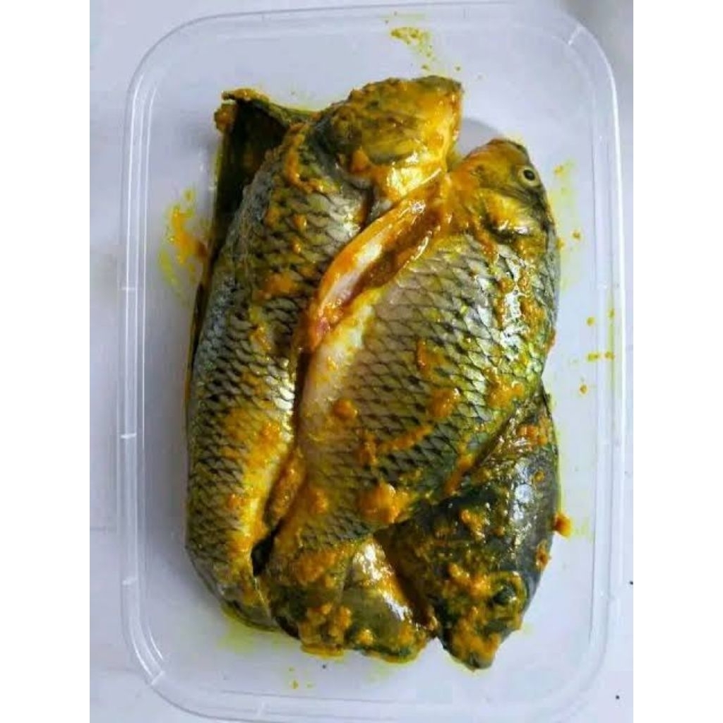 

ikan mas marinasi bumbu kuning
