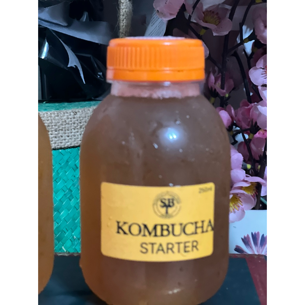 

Kombucha STARTER - 250ml