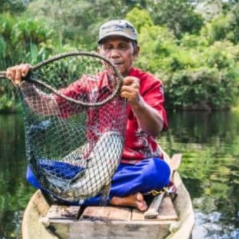 

ASAP TOMAN/SALAI TOMAN (GABUS)