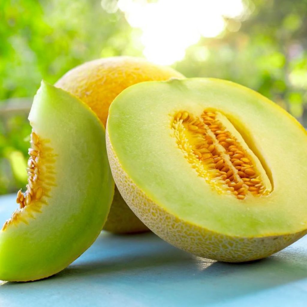 

Melon di Potong Setengah Butir 1.5-2 kg