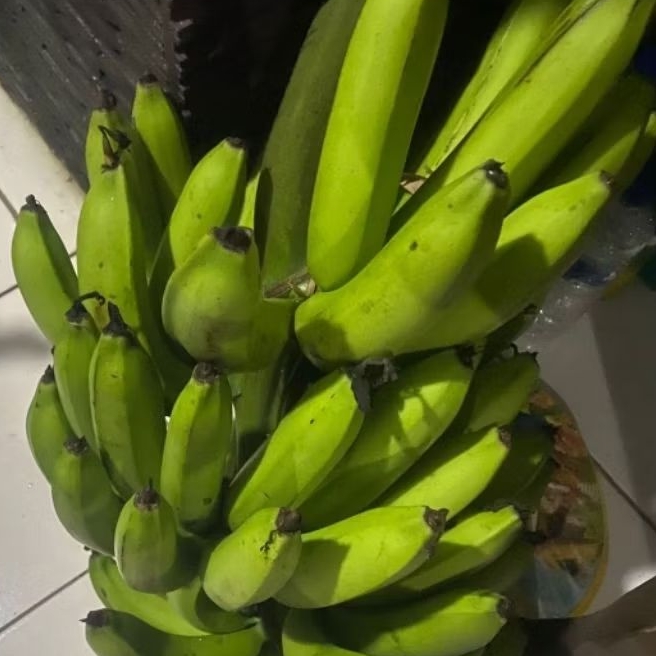 

Buah Pisang Mentah CM 20 Pisang Bangkaulu