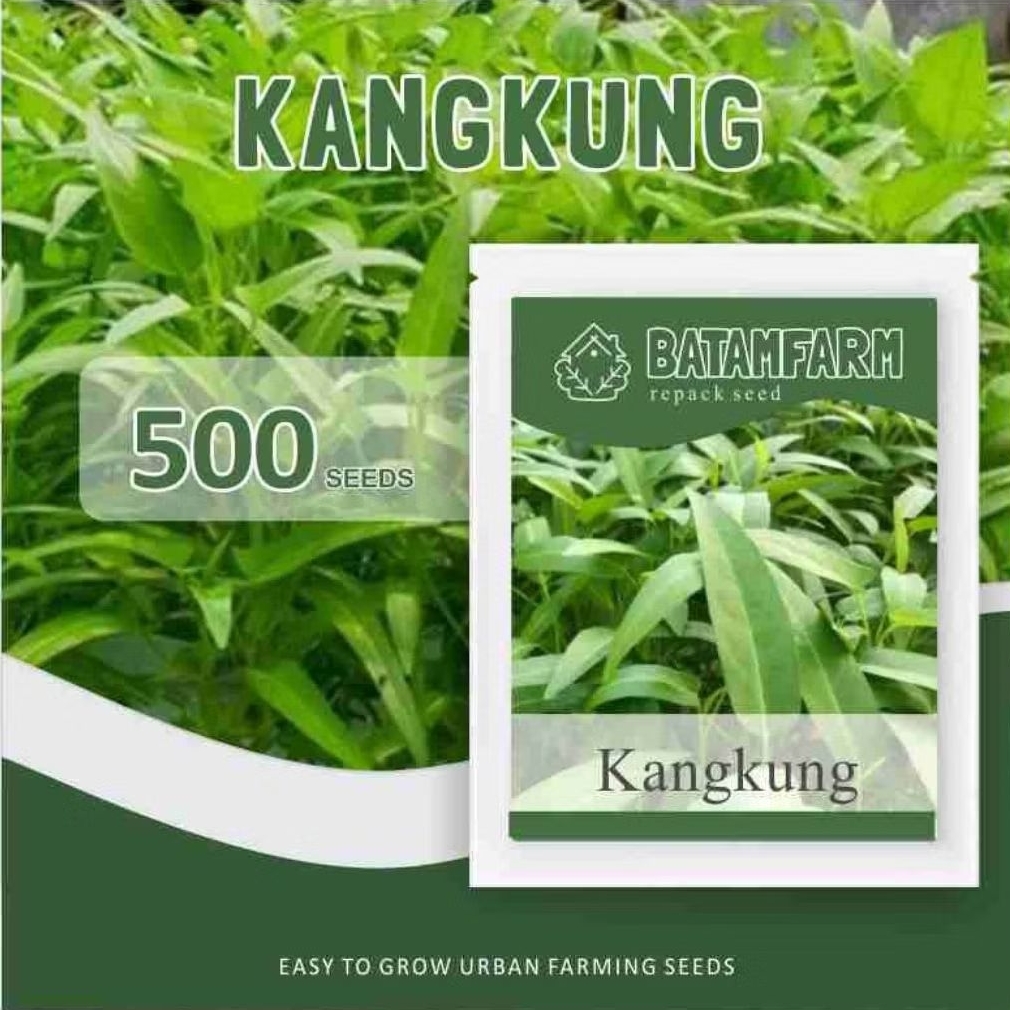 Benih/bibit Kangkung Panah Merah Repack