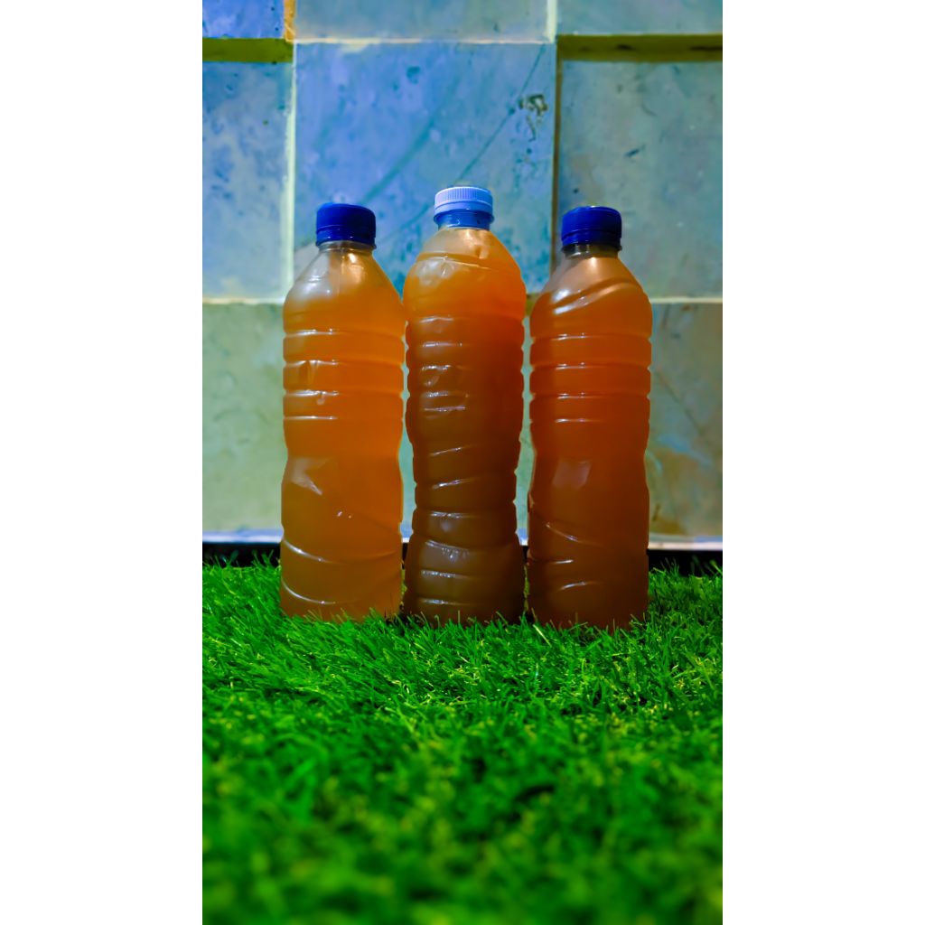 

Madu Asli Pegunungan Merubetiri