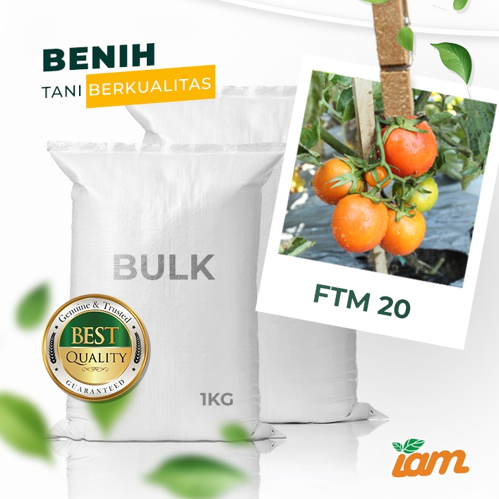 

BULK 1kg – tomat l F1 (FTM 20)