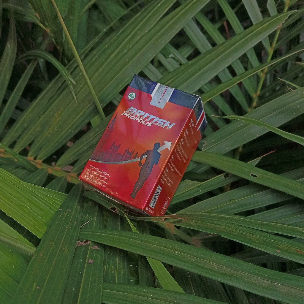 British Propolis Obat Herbal Asam Lambung Gerd Maag Kronis DIY
