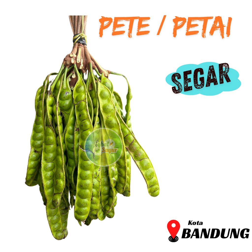 

Pete / Petai Super Bandung