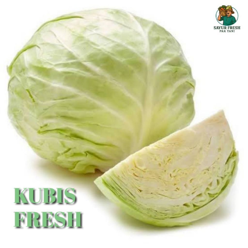 

kol kubis hijau