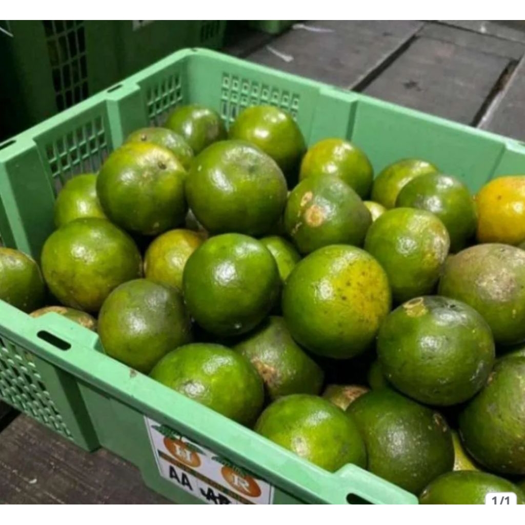 

jeruk lokal 1kg pilihan bppn