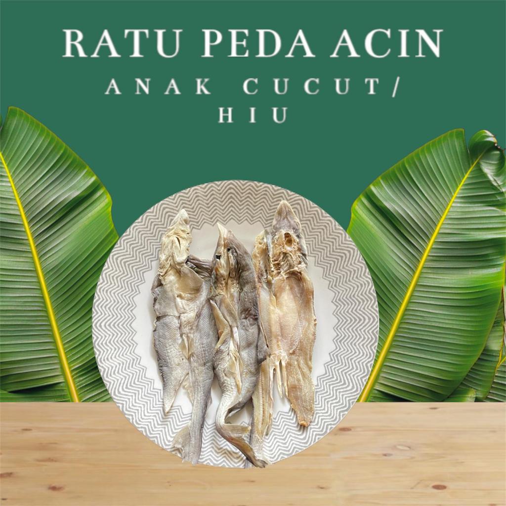 

Ikan Asin Cucut / Hiu Murah Kualitas Premium Super Daging Tebal, Rasa Autentik - Ratu Peda Acin
