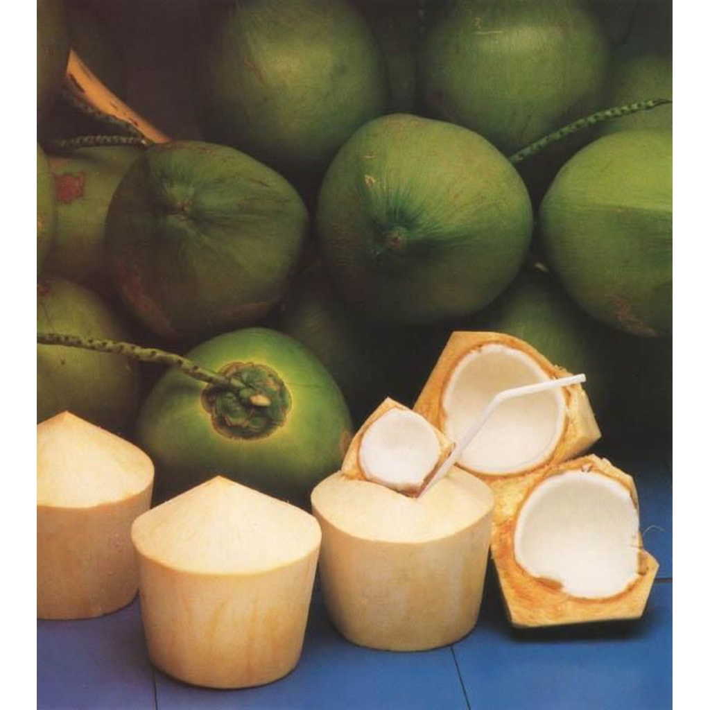 

KELAPA MUDA HIJAU FRESS