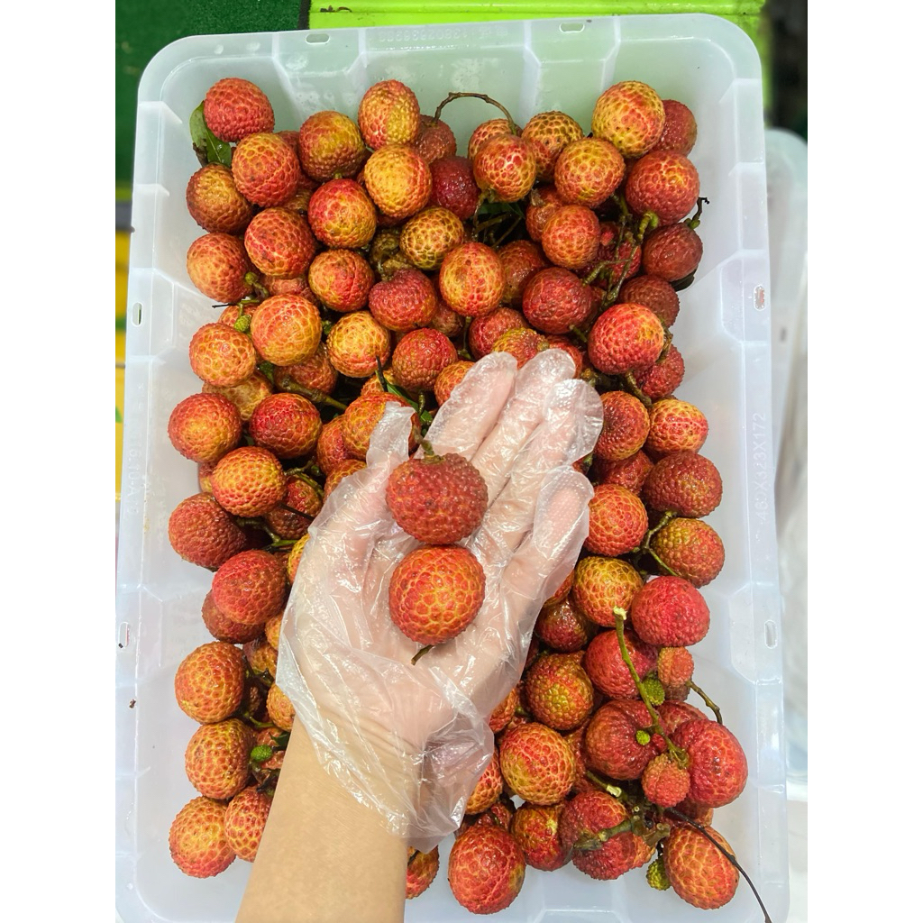 

(LANGSUNG KIRIM buah leci madu import fresh leci hijau (500gr) rrc surabaya sidoarjo gosend only