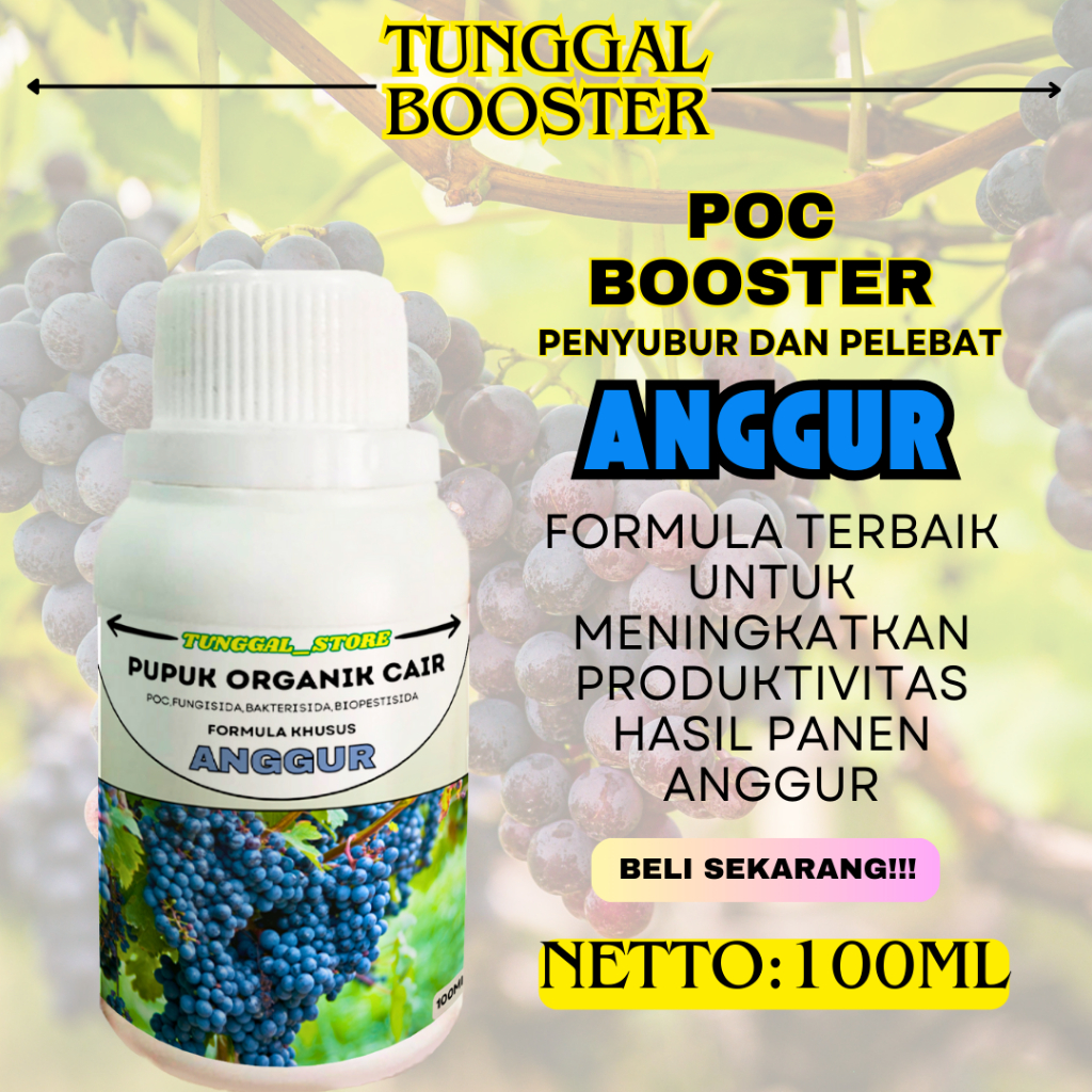 POC Pupuk Organik cair Tanaman Anggur/Pupuk Anggur/Pupuk organik anggur/Pupuk Melebatkan buah anggur