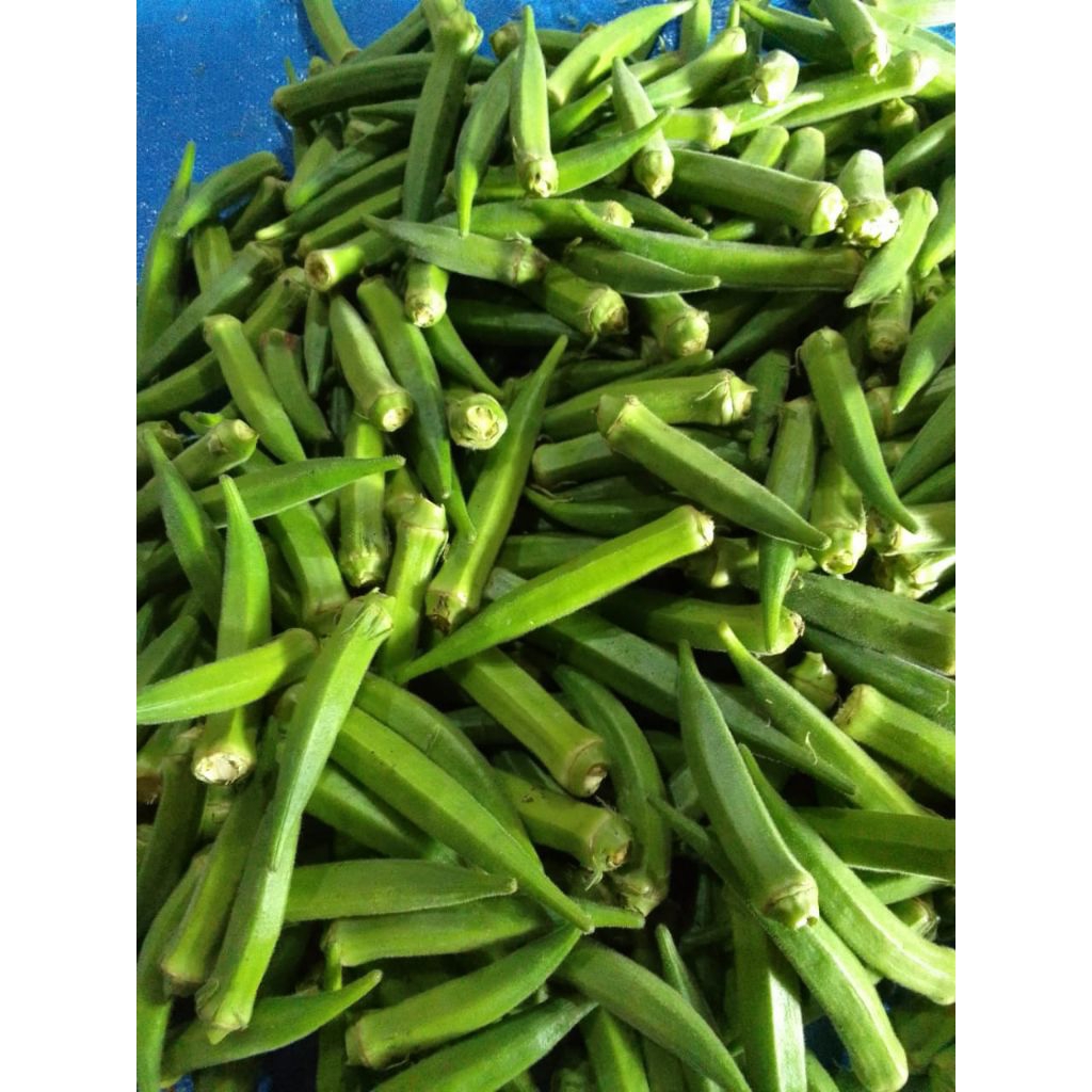 

Sayur okra segar