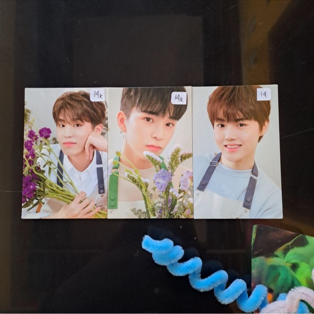 sharing md blooming binder treasure