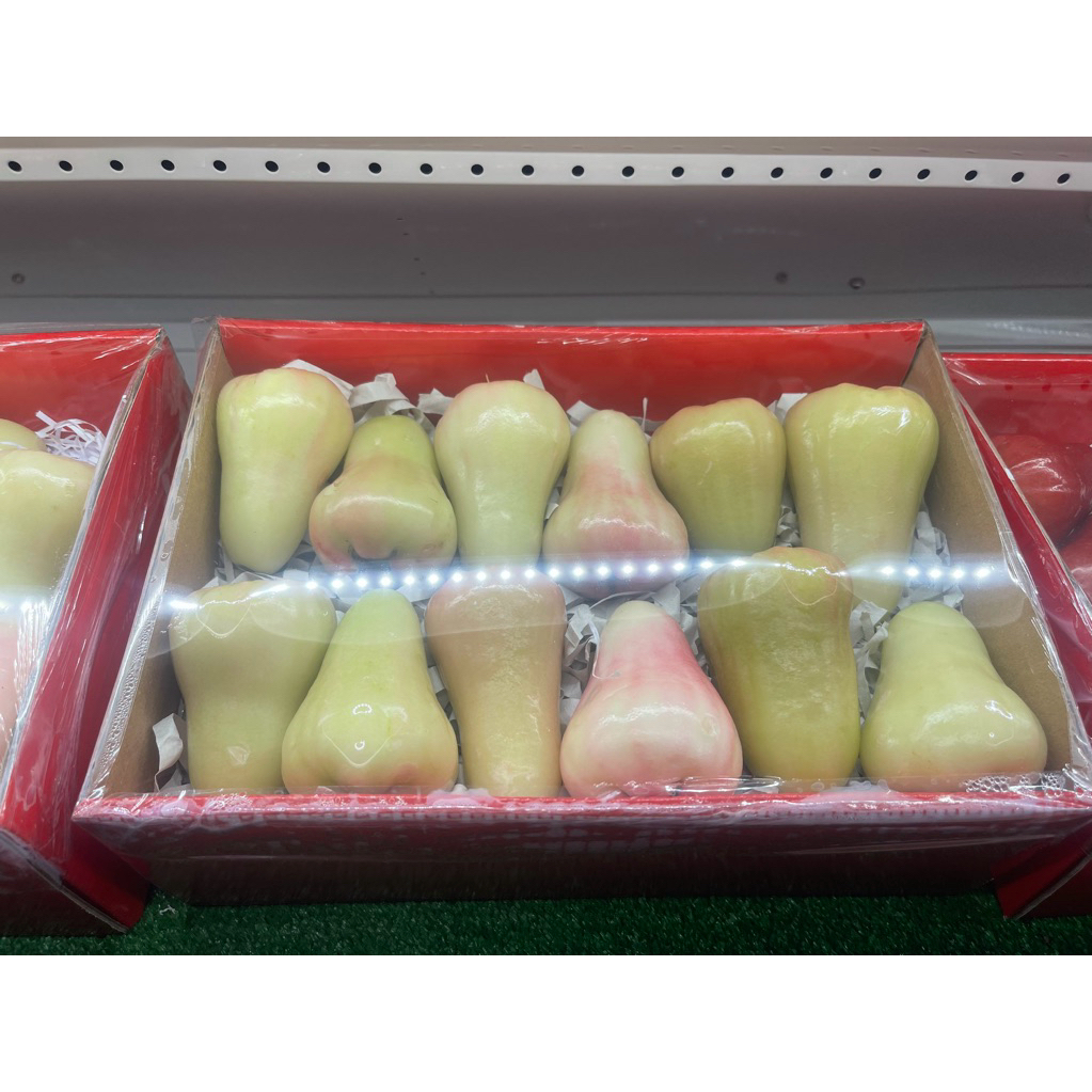 

Jambu Air Hijau Madu Deli Gift Box