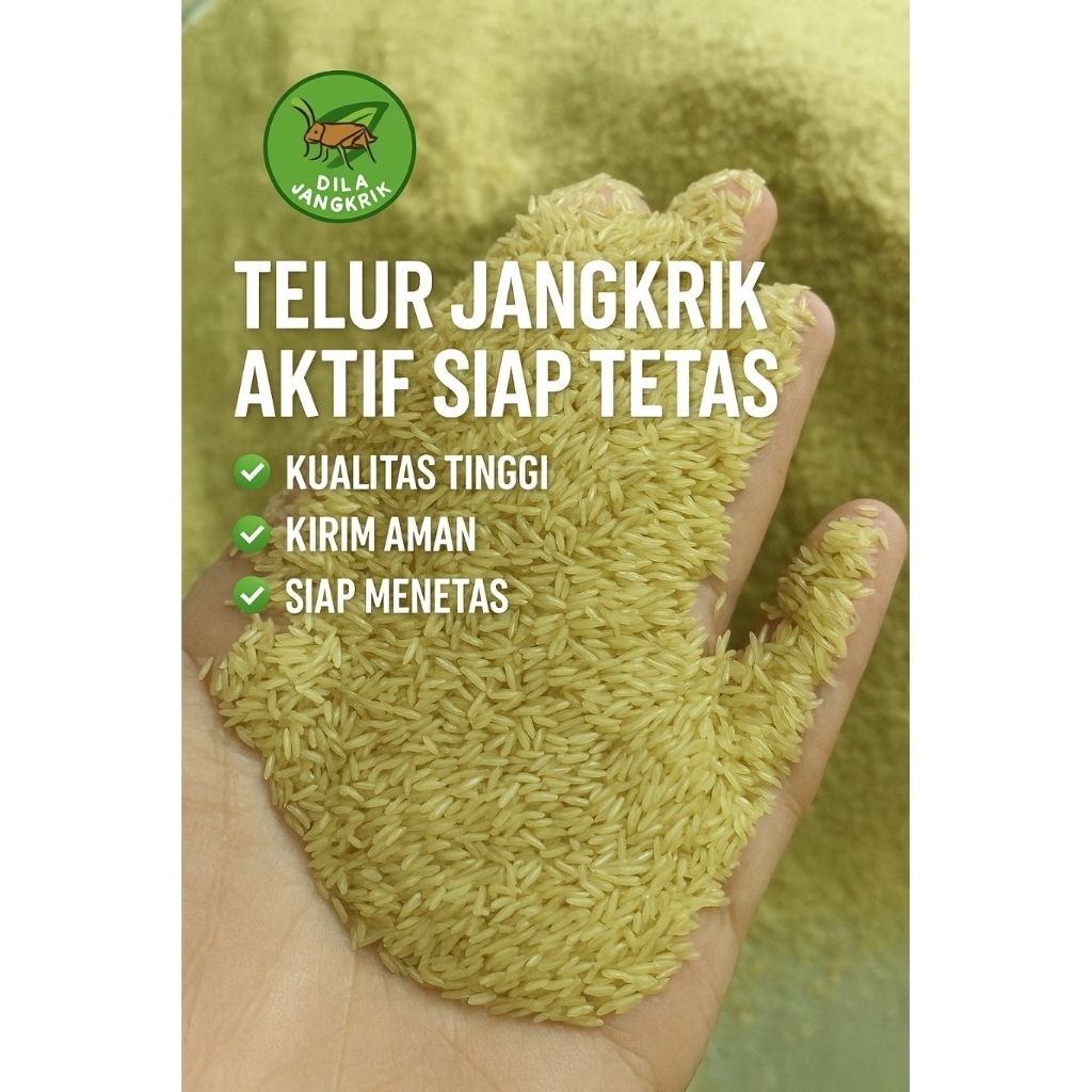 

TELUR JANGKRIK MADU UNGGULAN – SIAP TETAS, KUALITAS TERJAMIN