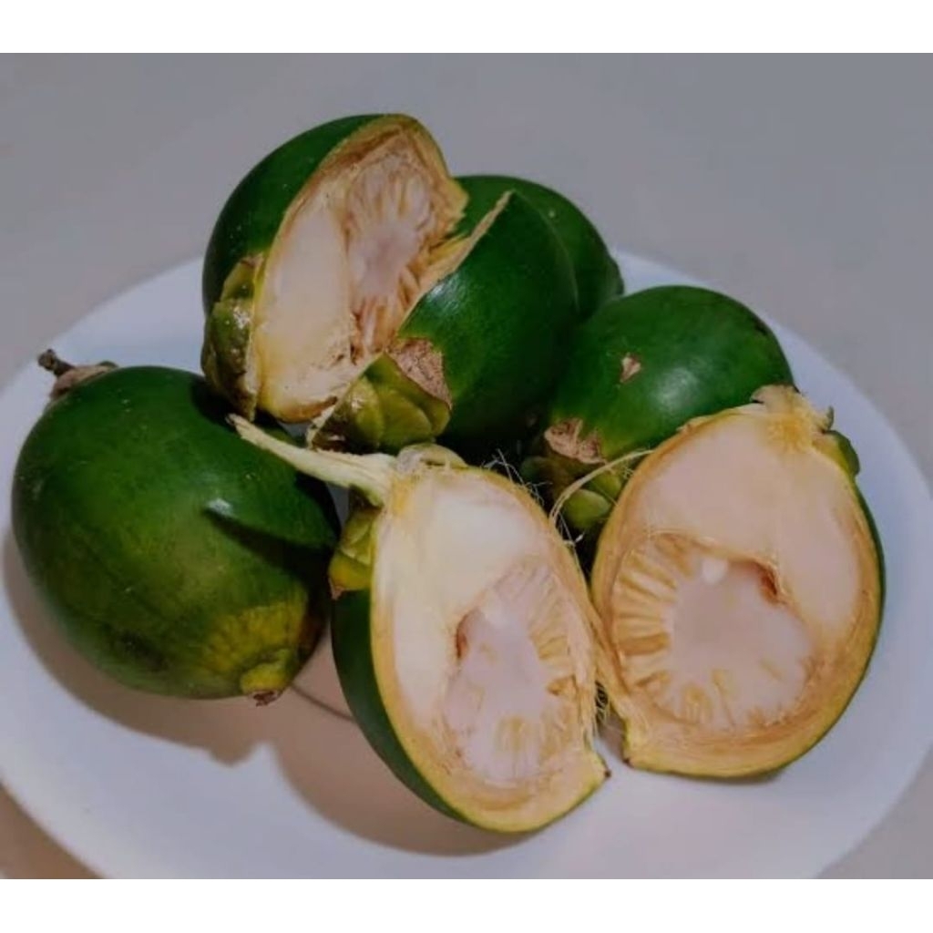 

terlaris !! buah pinang muda/buah jambe penambah stamina ready