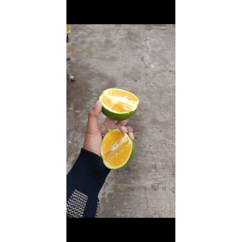 

jeruk baby / jeruk gula / jeruk peras