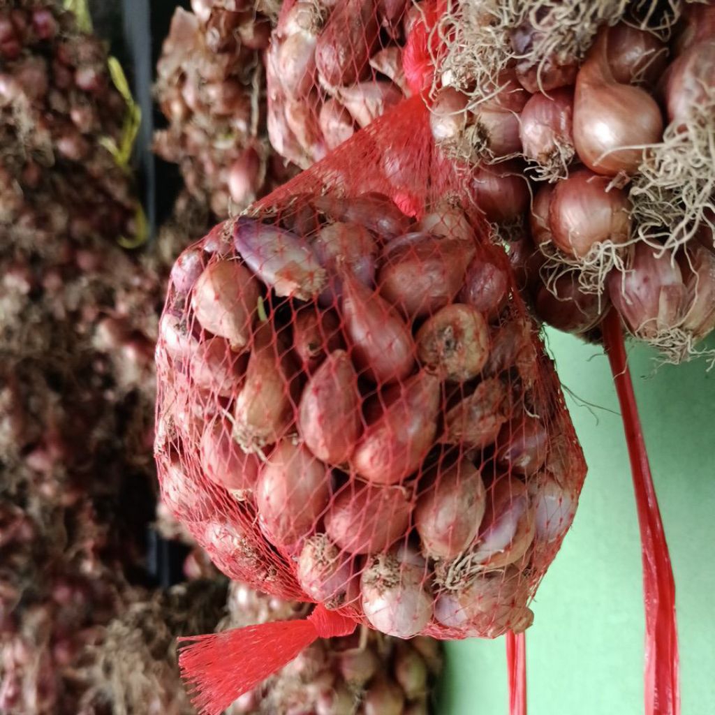 

Bawang Merah Tajuk Segar Ukuran Kecil Sedang
