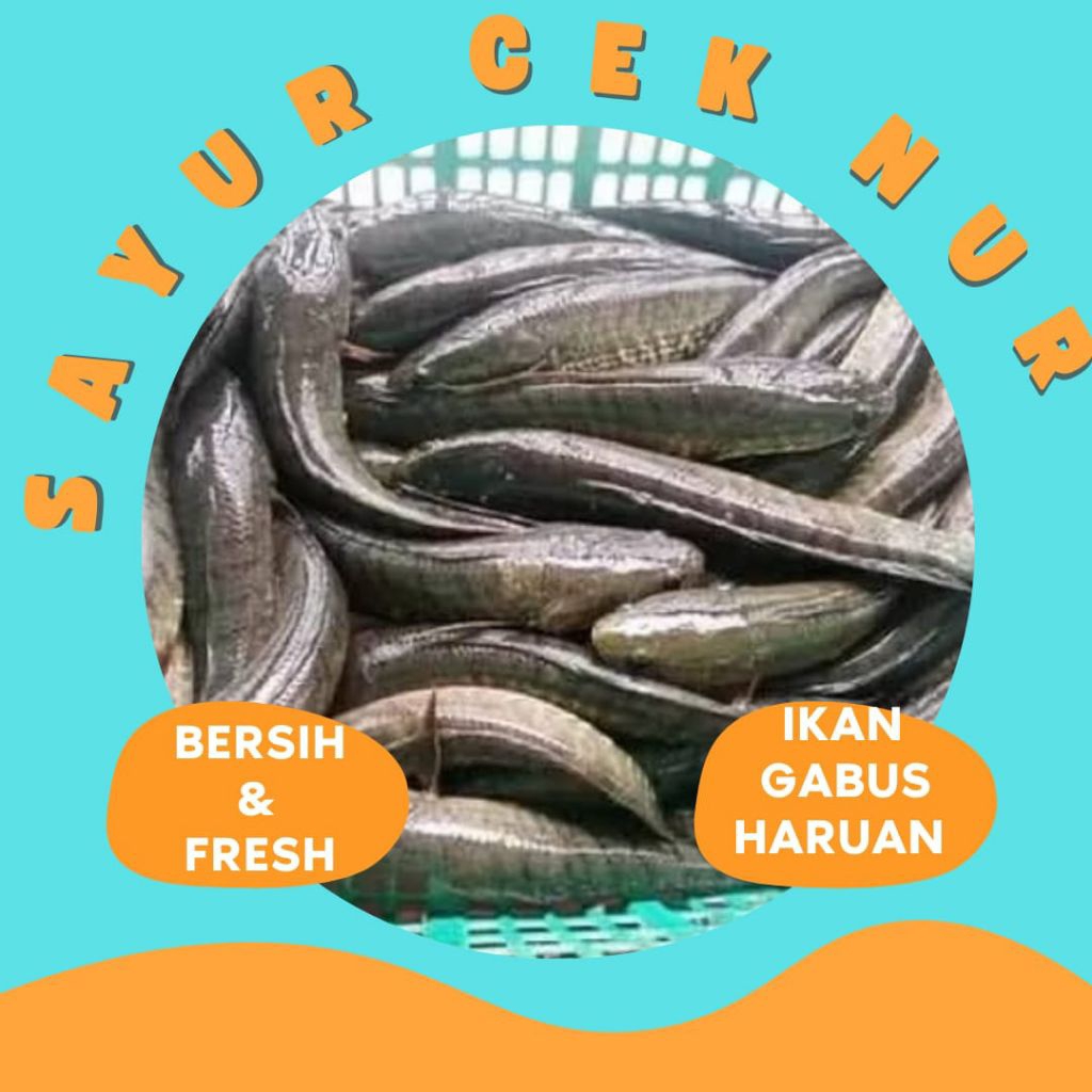 

IKAN GABUS / HARUAN - INSTAN PALEMBANG