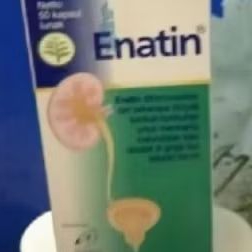 Enatin botol original