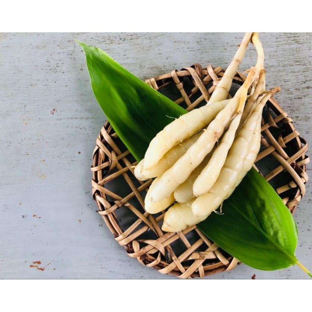 

UMBI GARUT, TARIGU murah fres 500 gram