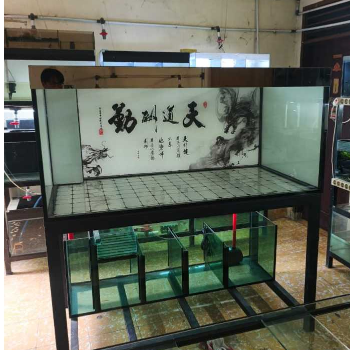 Aquarium Kaca Ukuran P150 L80 T70 + Sump Filter