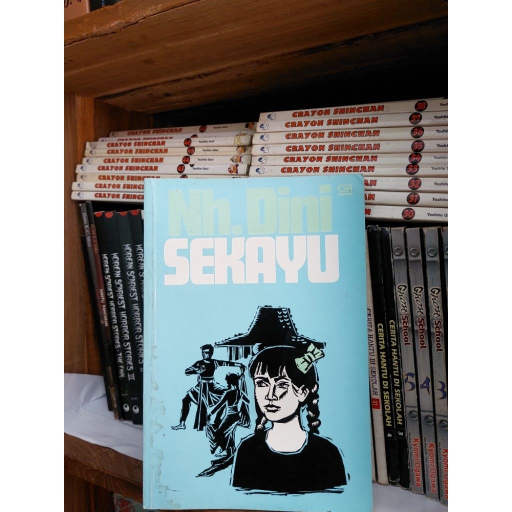 Novel Sekayu - Nh. Dini