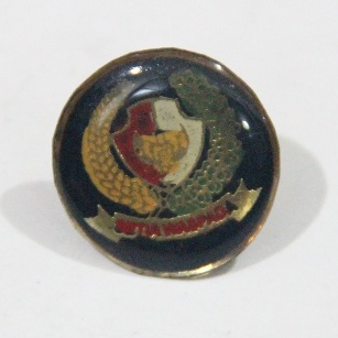 Pin AM Paspampres Bulat Hitam