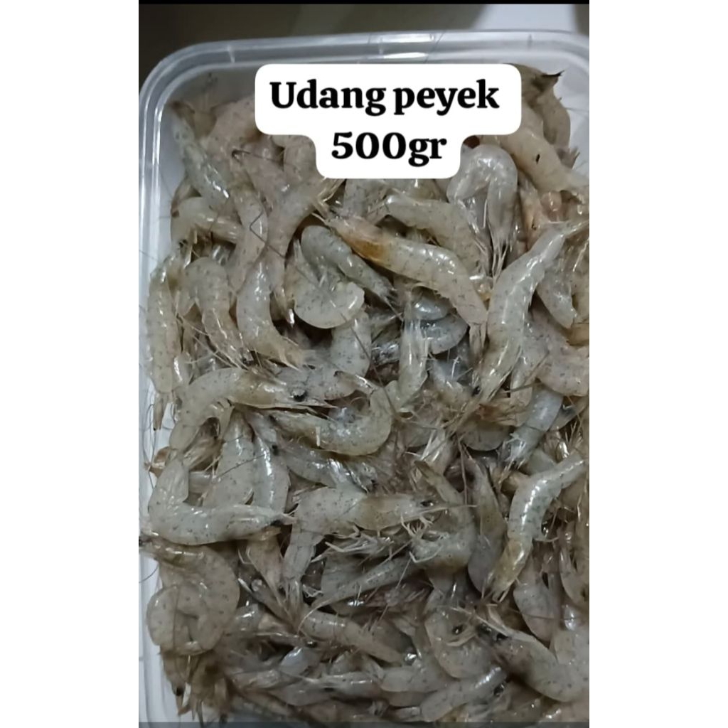 

udang kecil 500gr