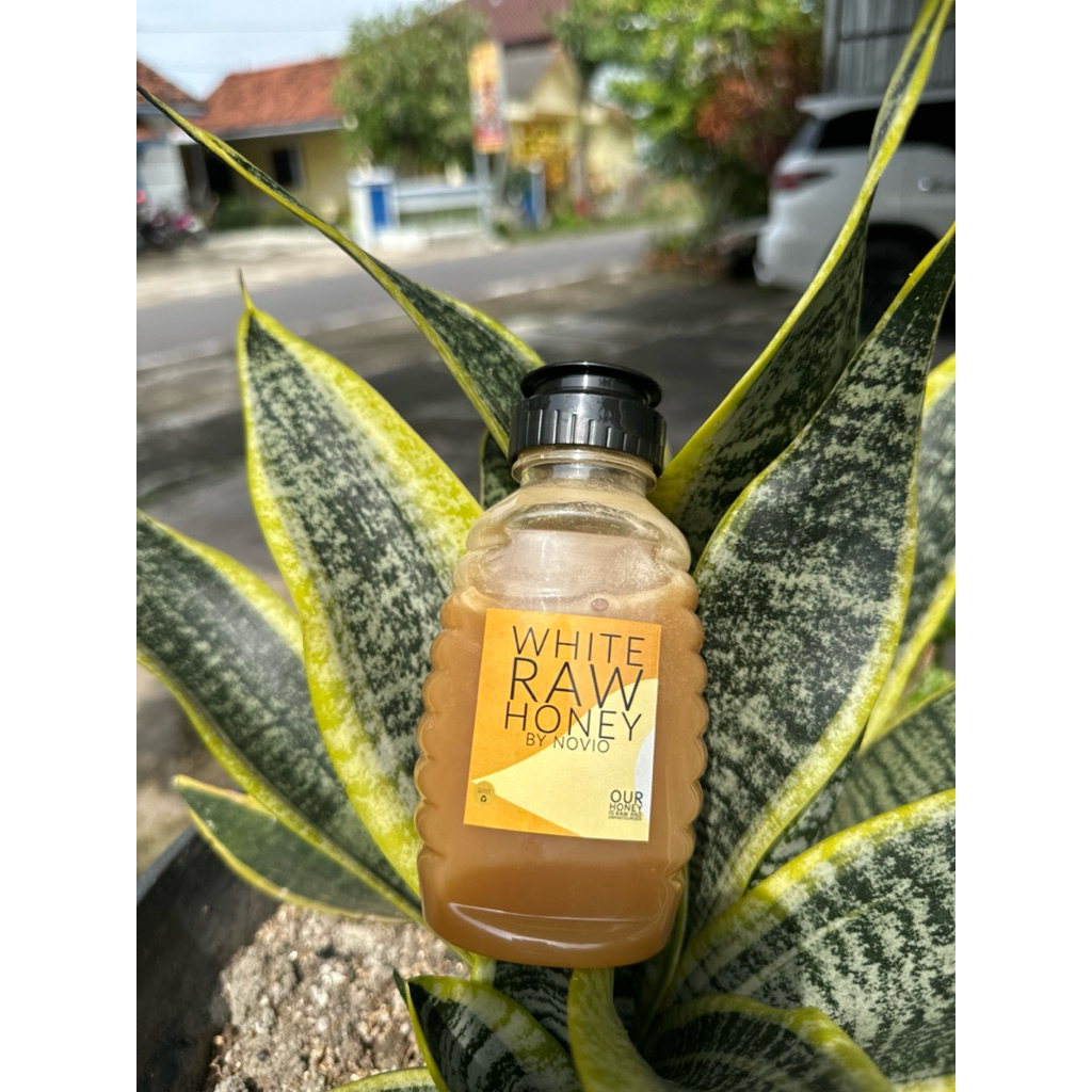 

Madu Putih Sumbawa 100% Raw Honey/Madu Mentah Madu Murni Madu Asli/ Unpasteurised Honey