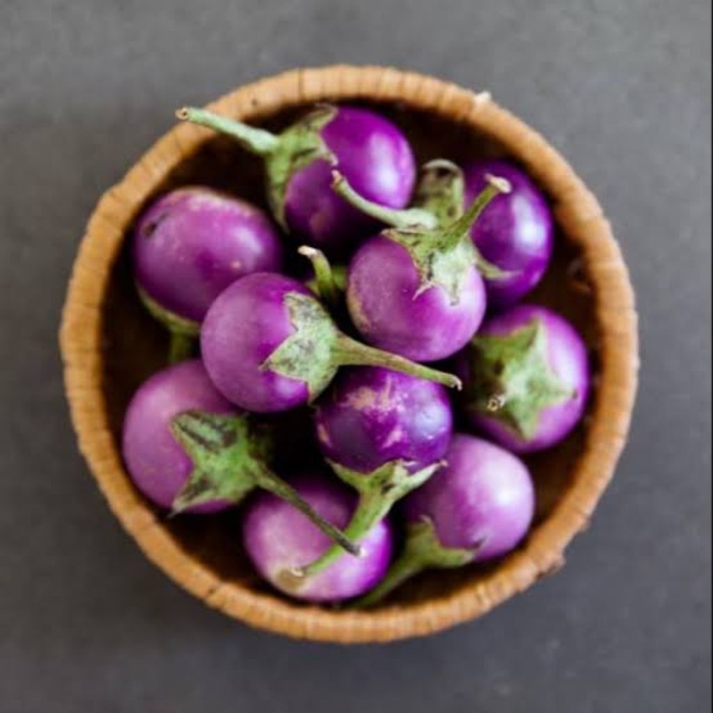 

terong kecil ungu terong lalapan