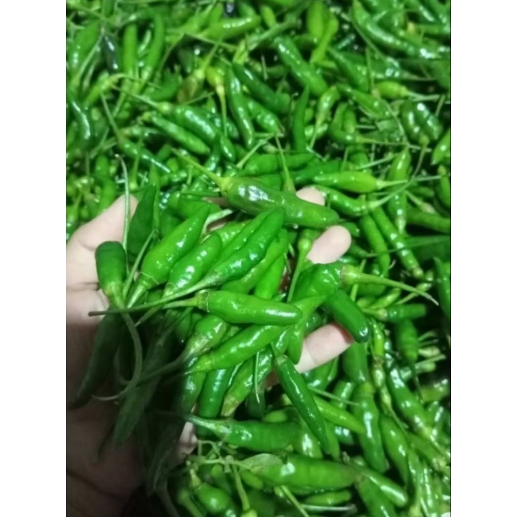 

cabai hijau 1/4 kilogram Promo