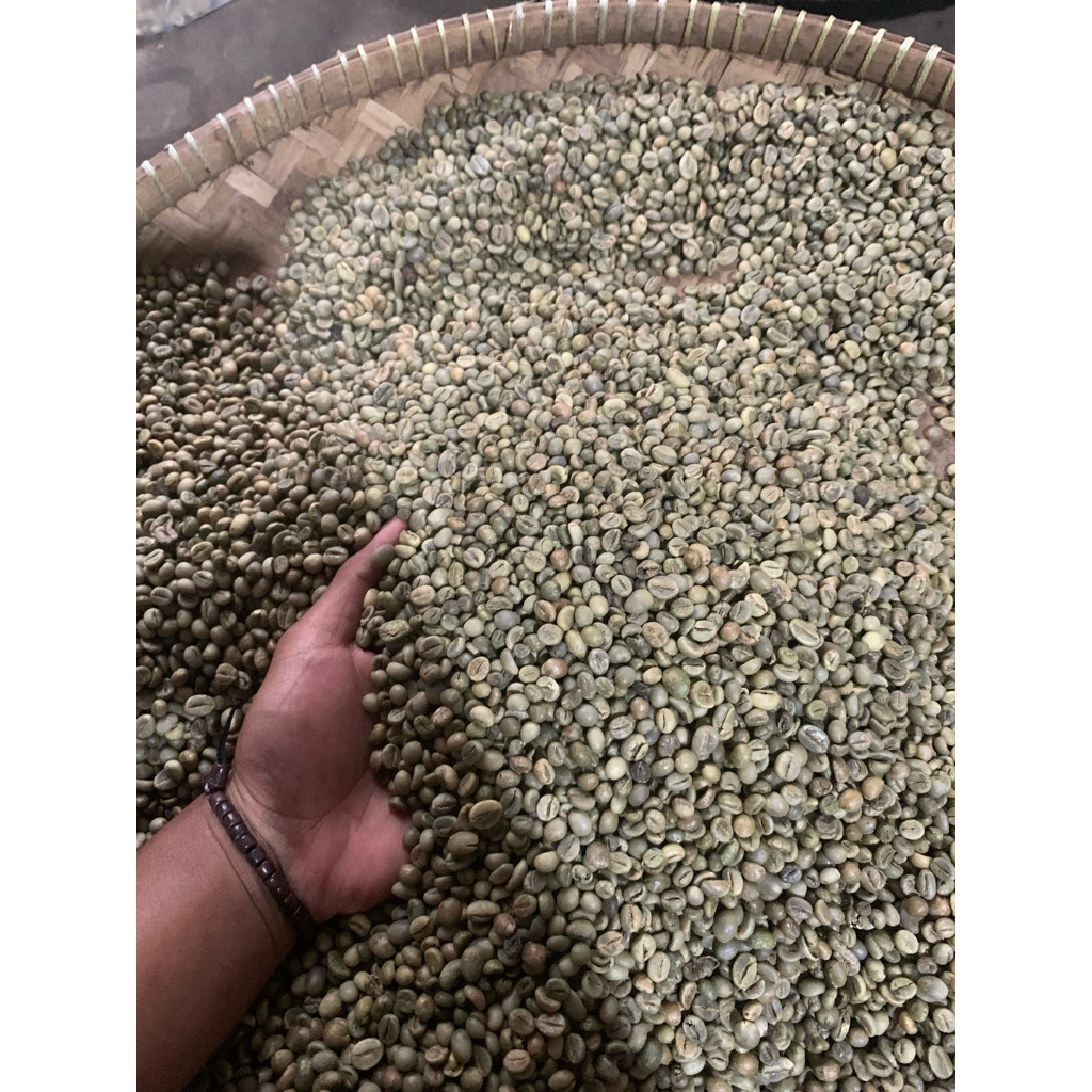 

green bean