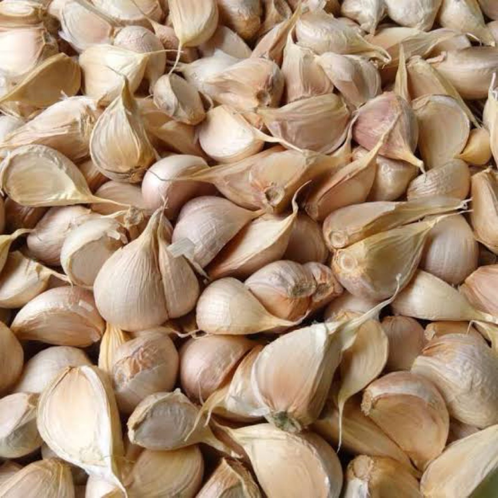

Bawang Kating Kualitas Bagus