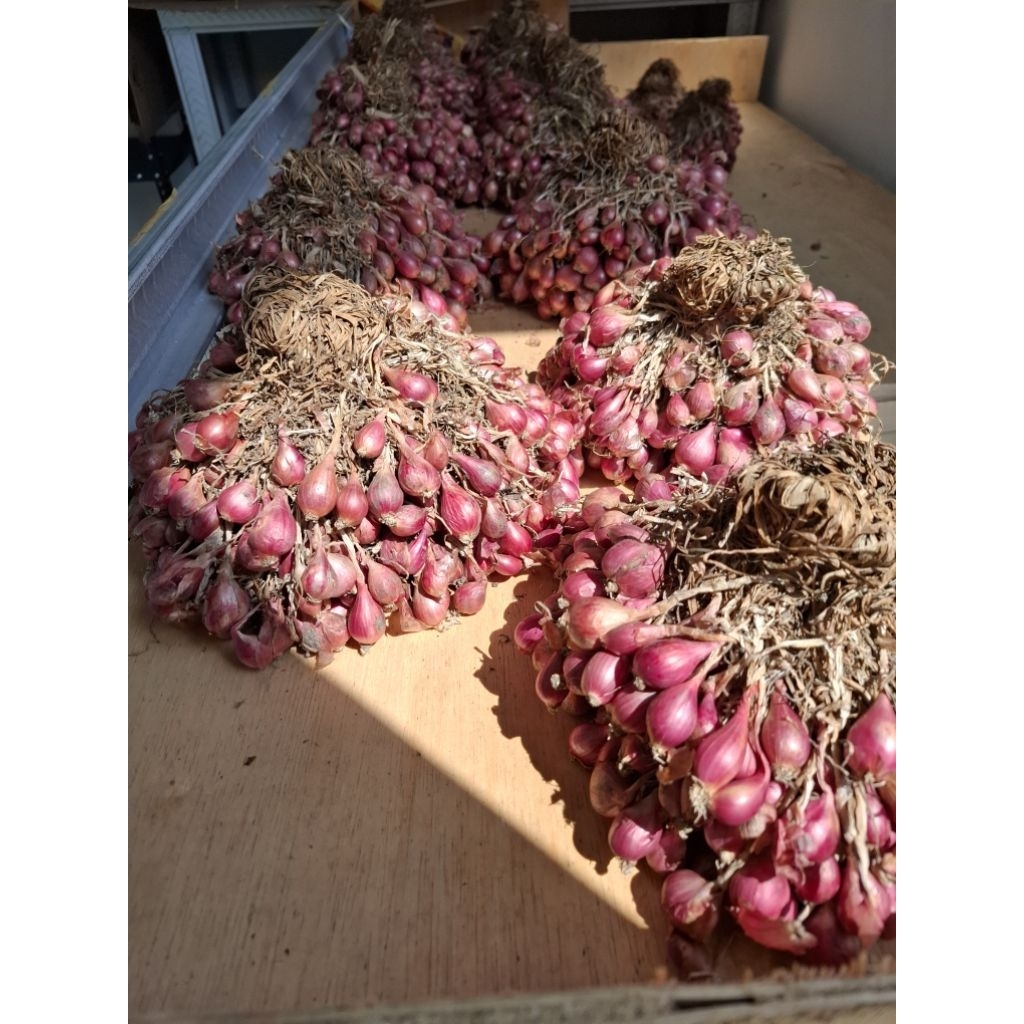 

Bawang Merah (Brebes)