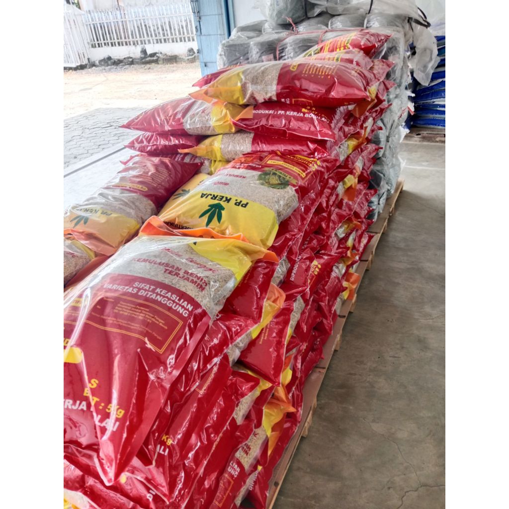Benih padi ciherang Boyolali PP Kerja 5 kg