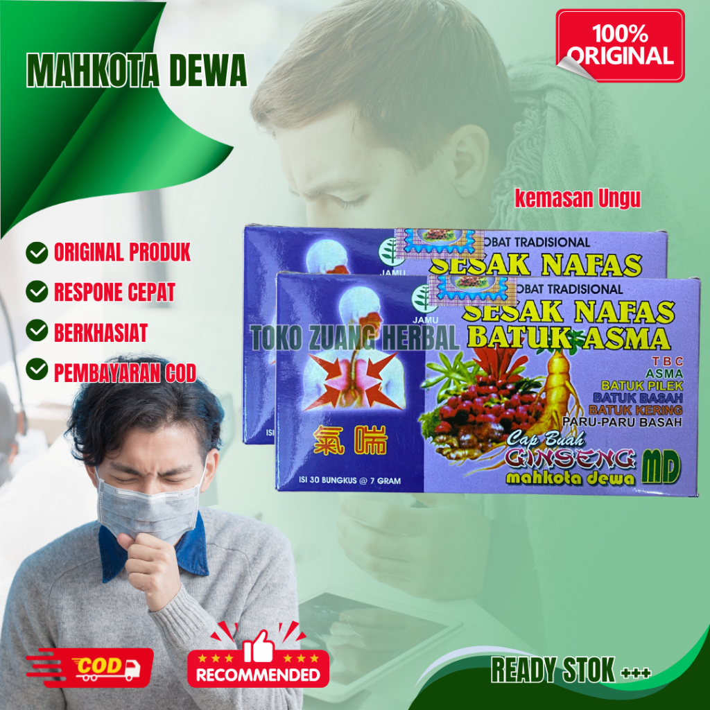 

Mahkota Dewa Serbuk | Mahkota Dewa Ungu | Serbuk Tradisional