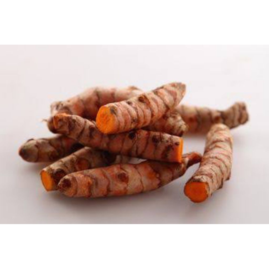 

Beli Kunyit Langsung dari Petani – Lebih Murah & Segar!