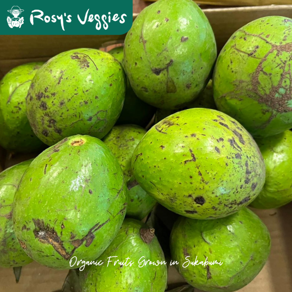 

Alpukat Lokal Organik | per kg