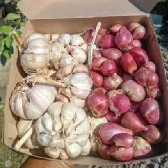 

SEPAKET BAWANG MERAH.BAWANG PUTIH 500 GRAM