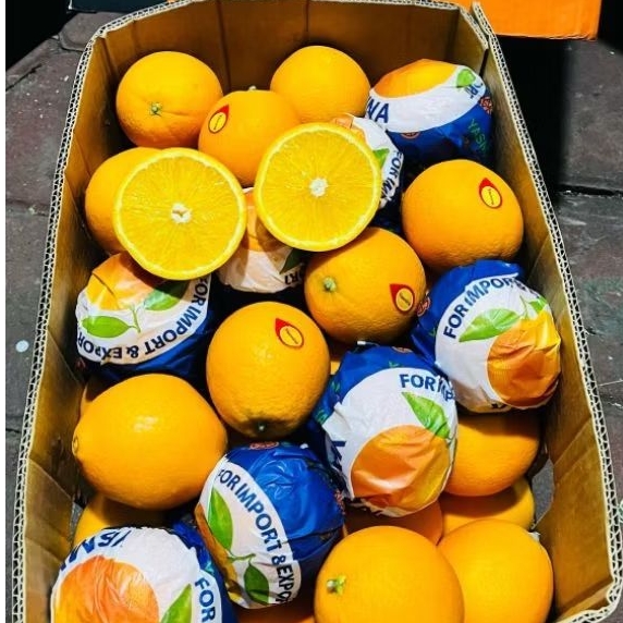 

Jeruk Navel / Valencia