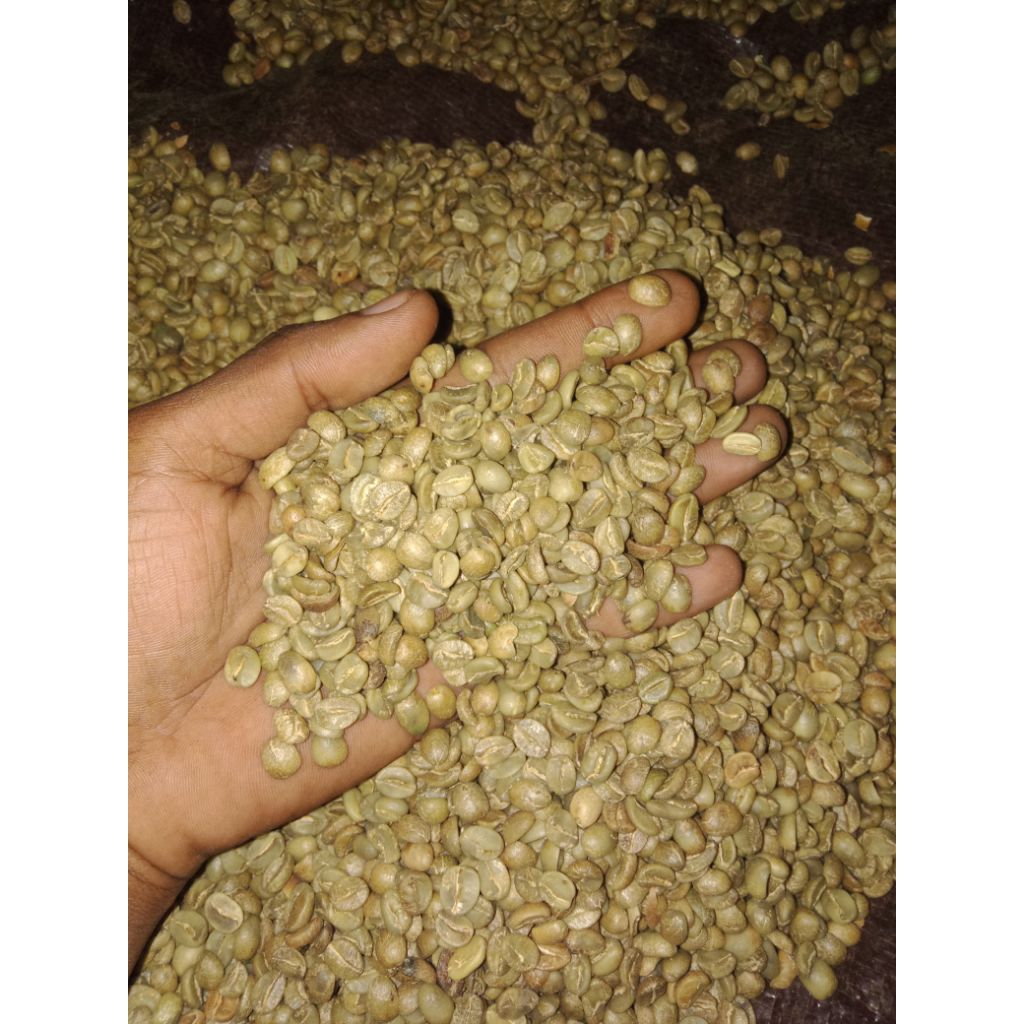

grean bean arabika argopuro kopi pilihan 1kg