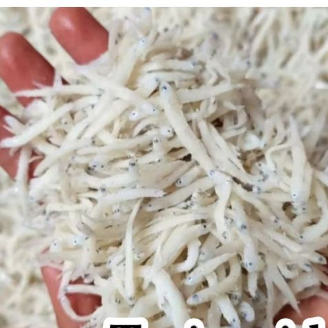 

terinasi Kemasan box 500ml Berat 200gr