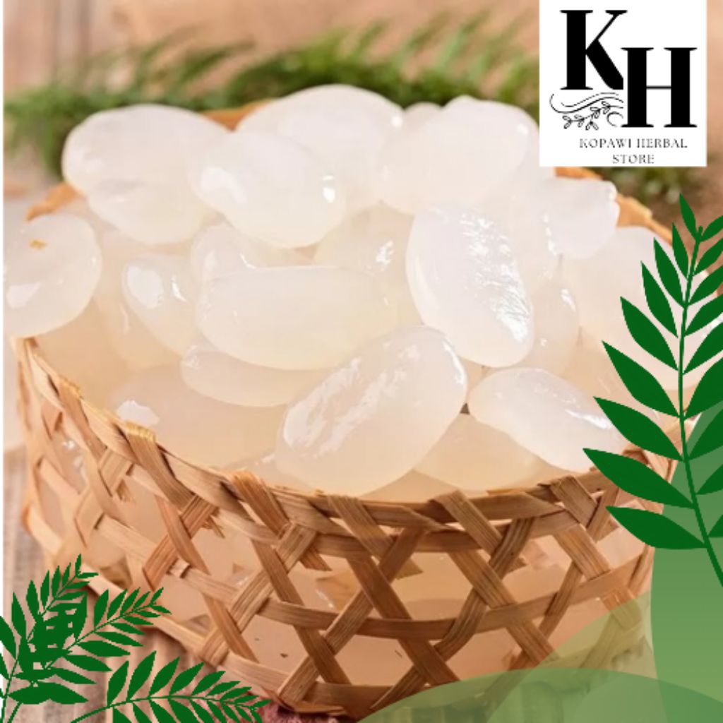 

Kolang Kaling Mentah Segar isi 1 kg